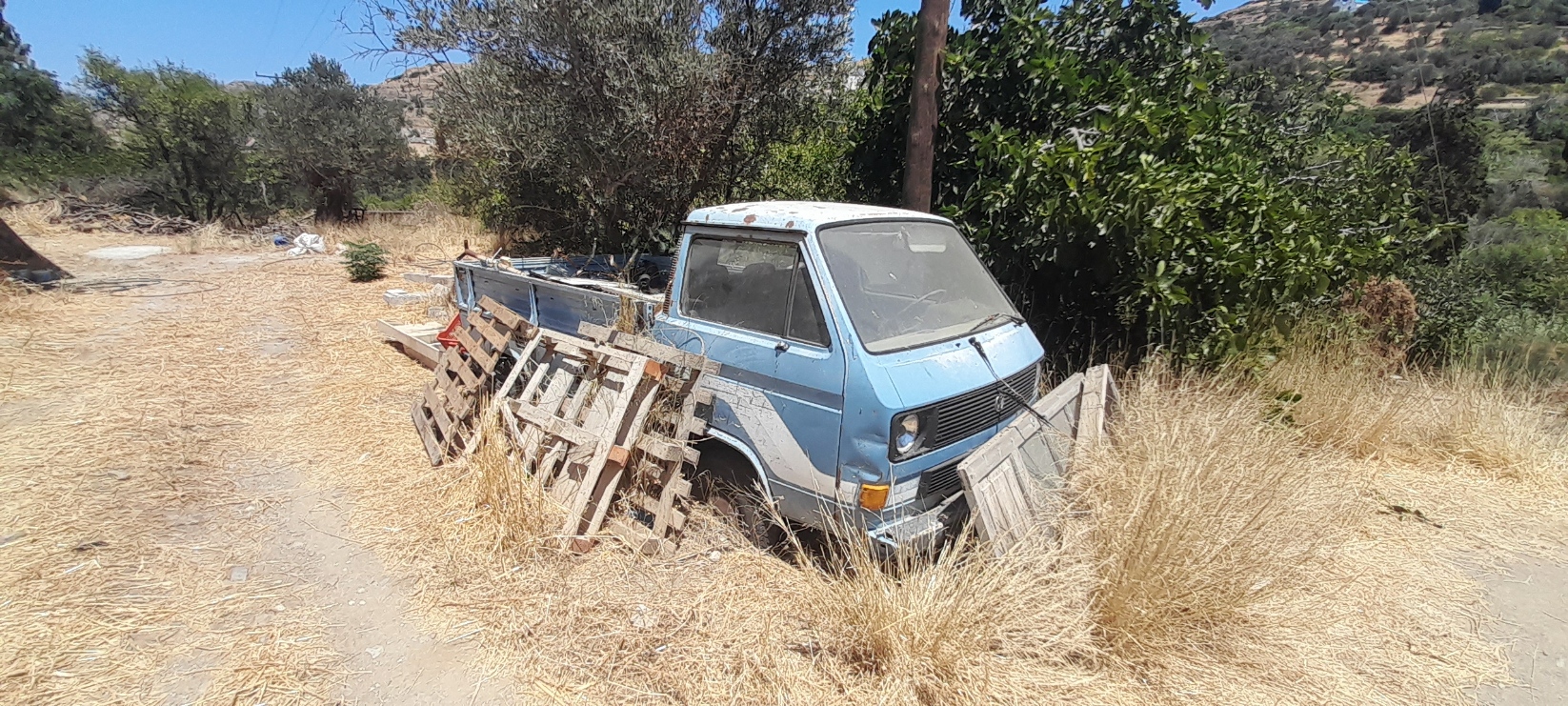 a blue T3 transporter ute. sun-faded and overgrown with dry grass. pallets are leant against it there are trees in the background. the ground is pale and dry. 